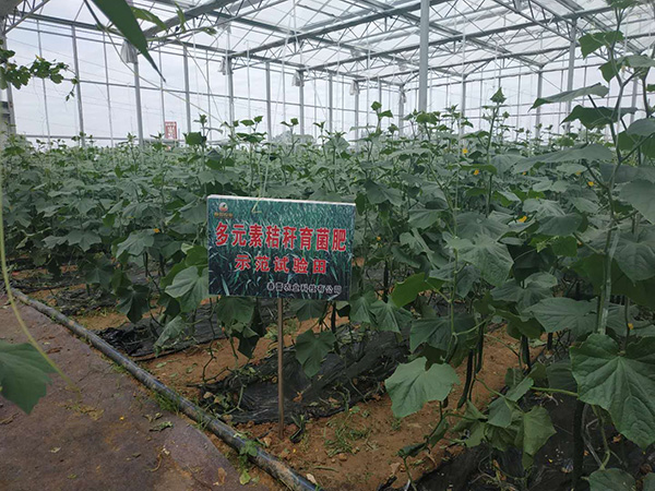 基地展示